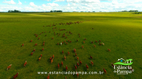 DOS EÓLICOS VIRA P FAZENDA_Moment.00_07_33_08.Quadro252_5c3564d64de45be67c79595e1b7112de8207c10f.jpg